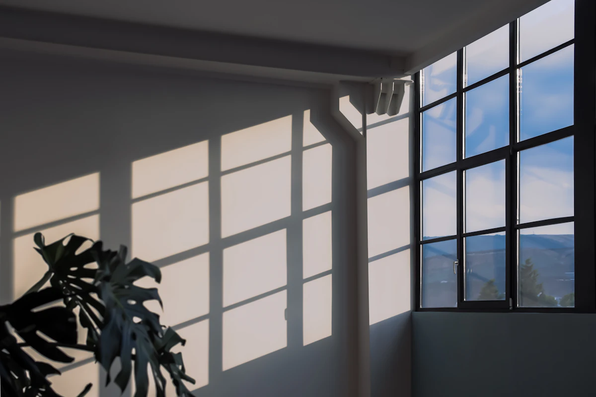 Sunlight through tall windows casting crisp shadows of the window frames and a plant across a white interior wall