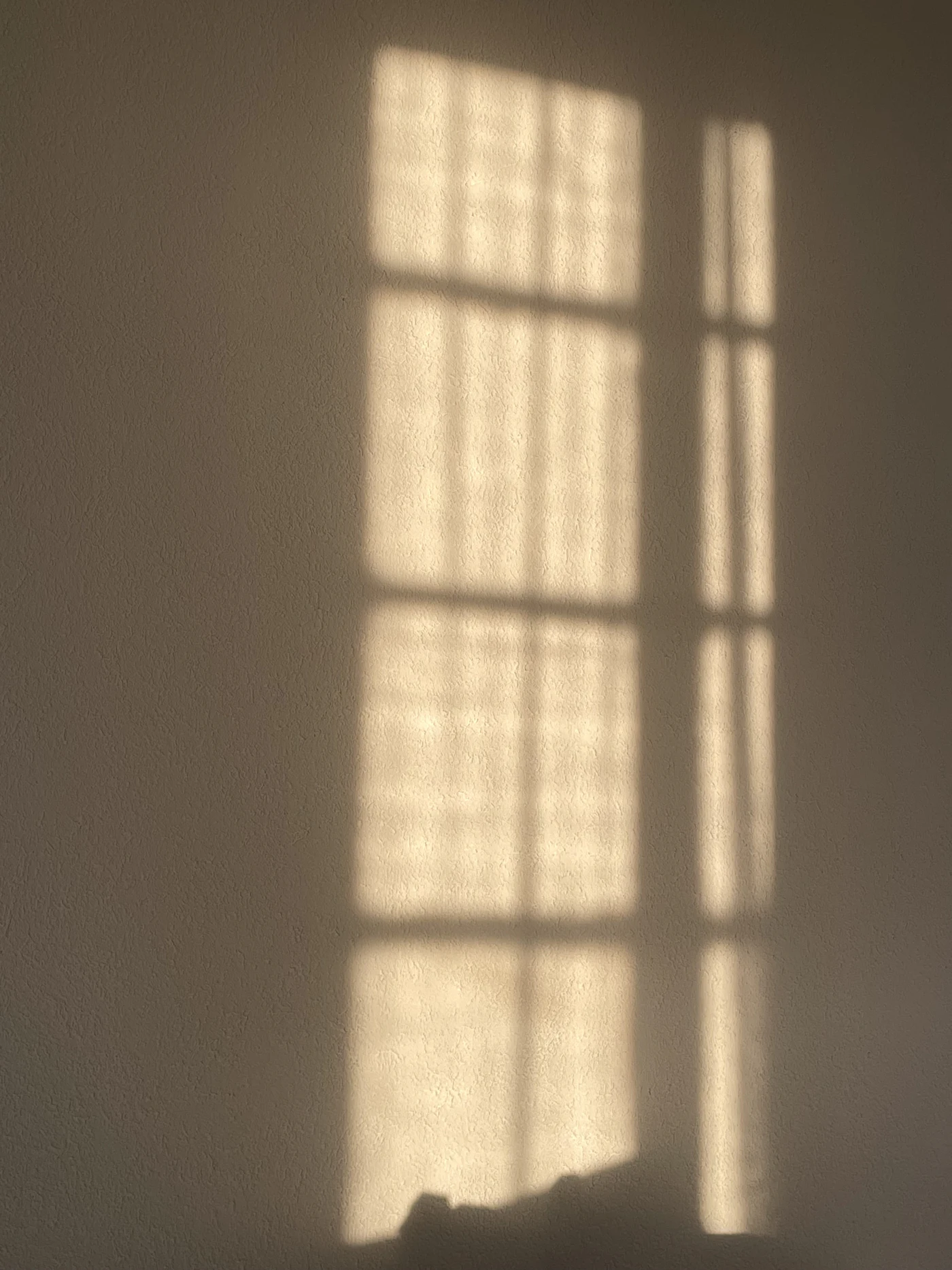 Soft afternoon light casting the shape of a paned window onto a textured wall