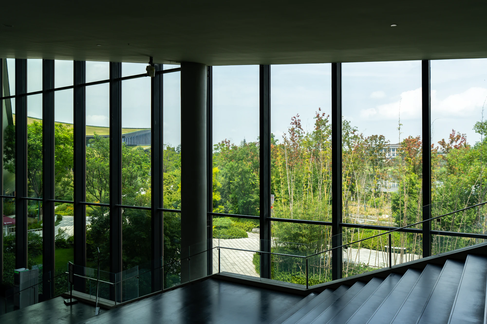 Floor-to-ceiling windows looking out over green trees on a clear day